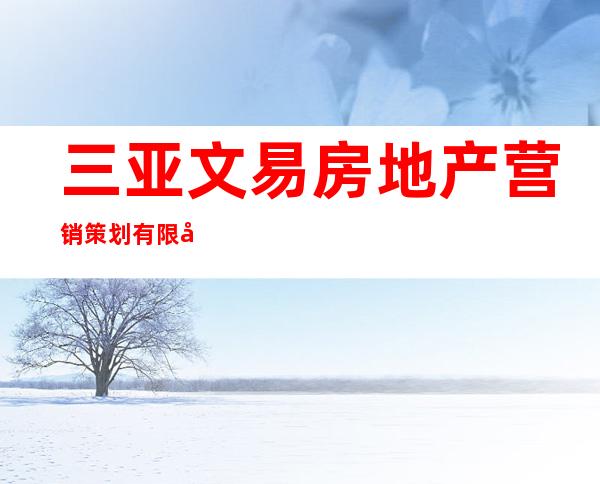 三亚文易房地产营销策划有限公司
