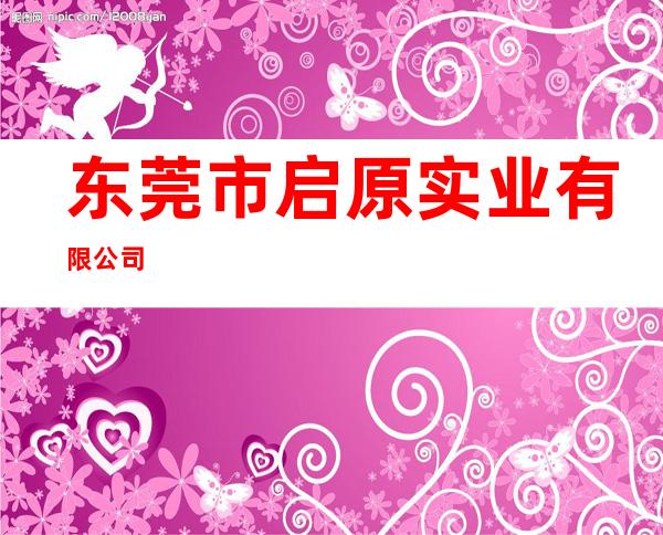 东莞市启原实业有限公司