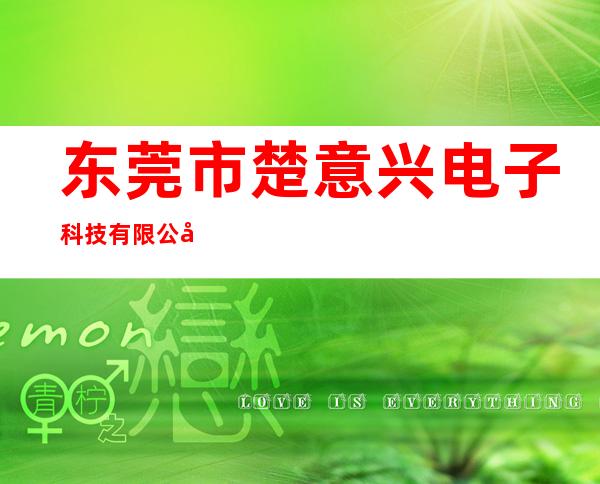 东莞市楚意兴电子科技有限公司