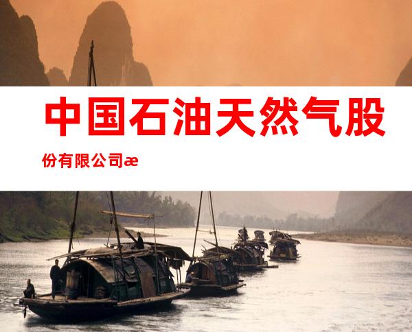中国石油天然气股份有限公司新疆喀什销售分公司阿克陶经营部核桃园加油站