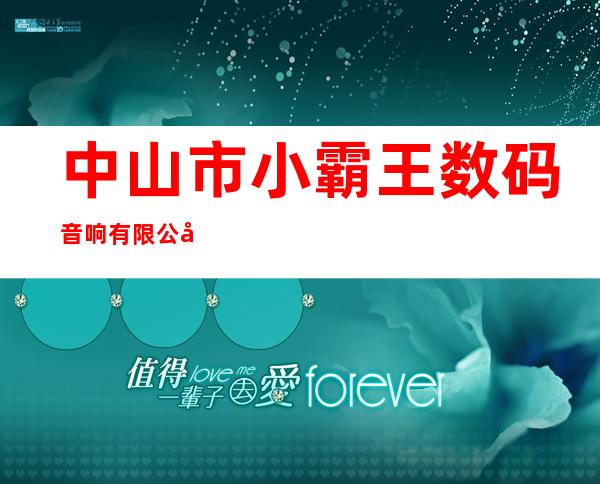 中山市小霸王数码音响有限公司