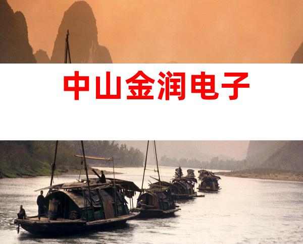 中山金润电子