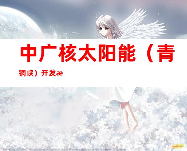 中广核太阳能(青铜峡)开发有限公司