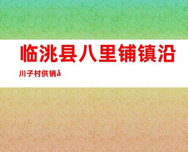 临洮县八里铺镇沿川子村供销农民专业合作社联合社