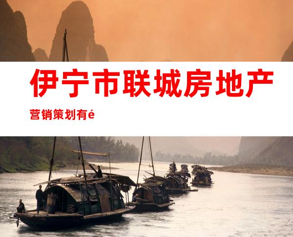 伊宁市联城房地产营销策划有限公司