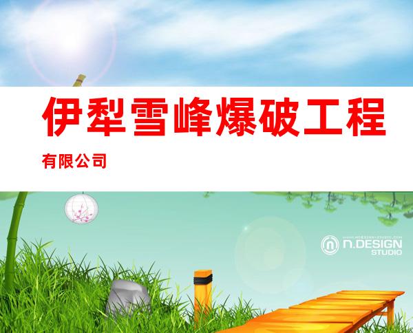 伊犁雪峰爆破工程有限公司