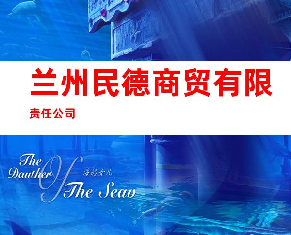 兰州民德商贸有限责任公司