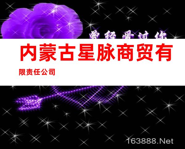 内蒙古星脉商贸有限责任公司