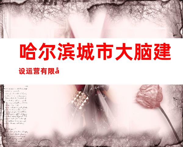 哈尔滨城市大脑建设运营有限公司