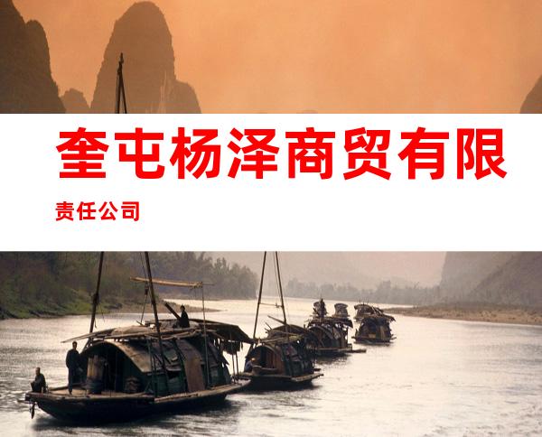 奎屯杨泽商贸有限责任公司