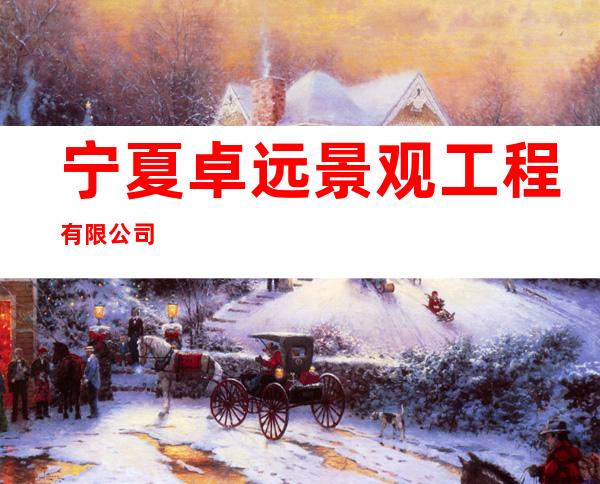 宁夏卓远景观工程有限公司