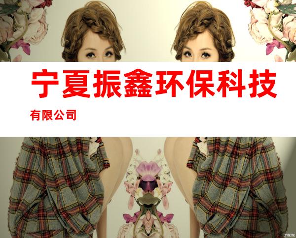 宁夏振鑫环保科技有限公司