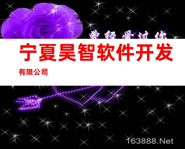 宁夏昊智软件开发有限公司