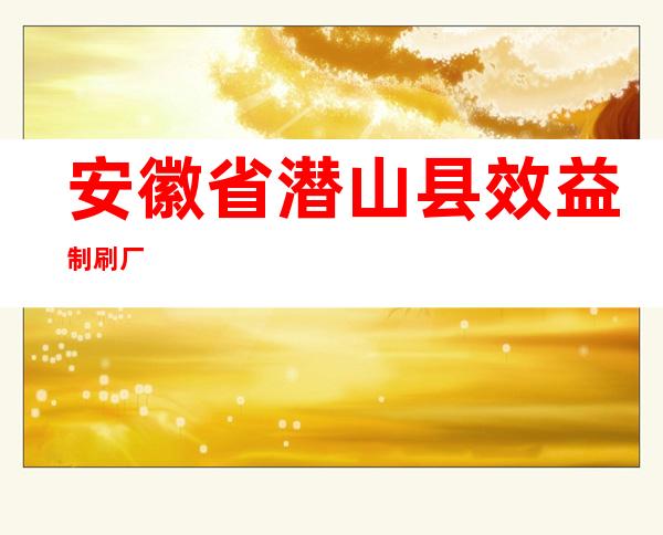 安徽省潜山县效益制刷厂