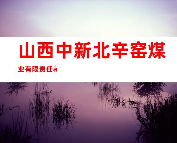 山西中新北辛窑煤业有限责任公司