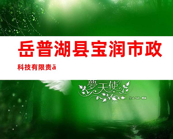 岳普湖县宝润市政科技有限责任公司