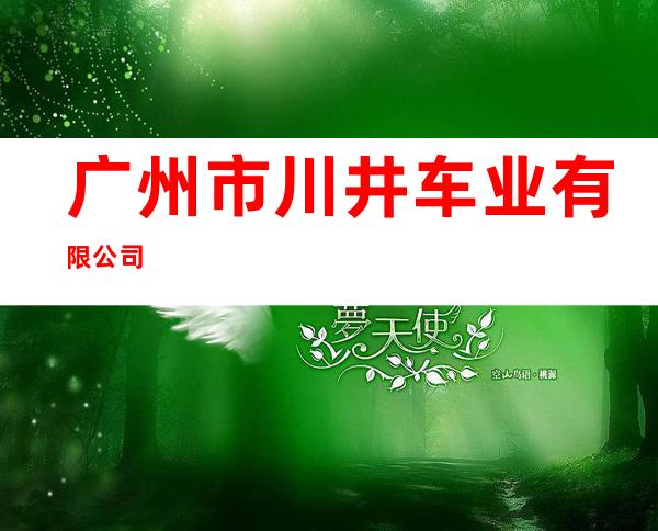 广州市川井车业有限公司