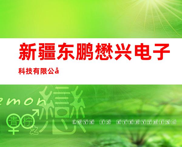 新疆东鹏懋兴电子科技有限公司