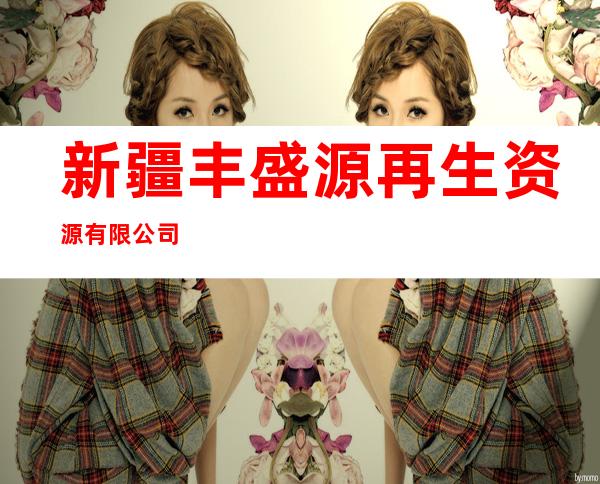 新疆丰盛源再生资源有限公司