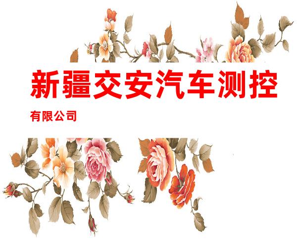 新疆交安汽车测控有限公司