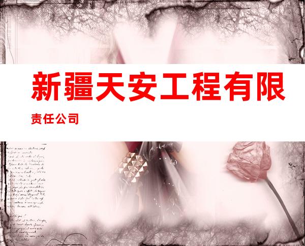 新疆天安工程有限责任公司