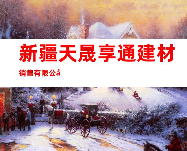 新疆天晟享通建材销售有限公司