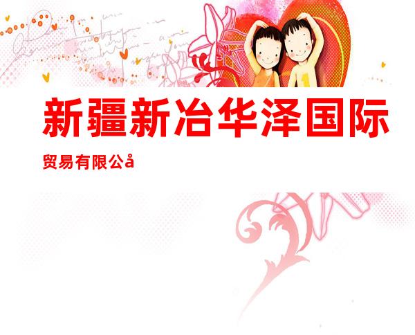 新疆新冶华泽国际贸易有限公司