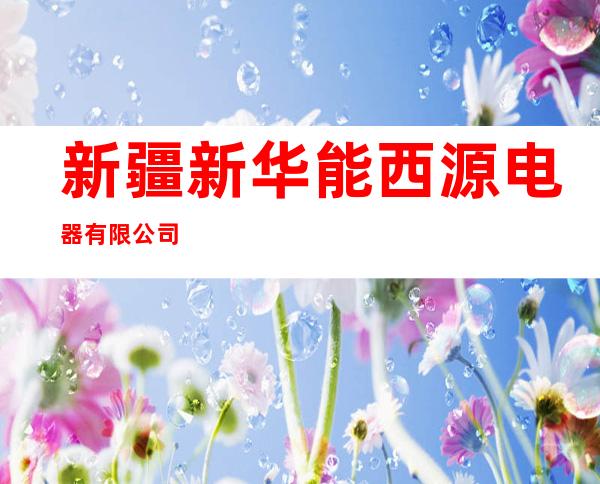新疆新华能西源电器有限公司