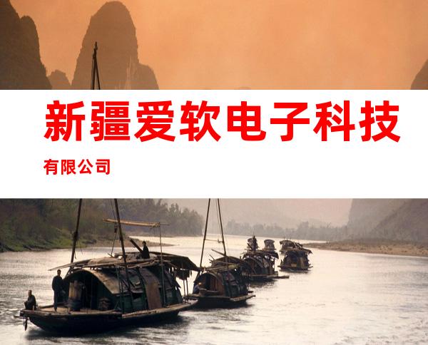 新疆爱软电子科技有限公司