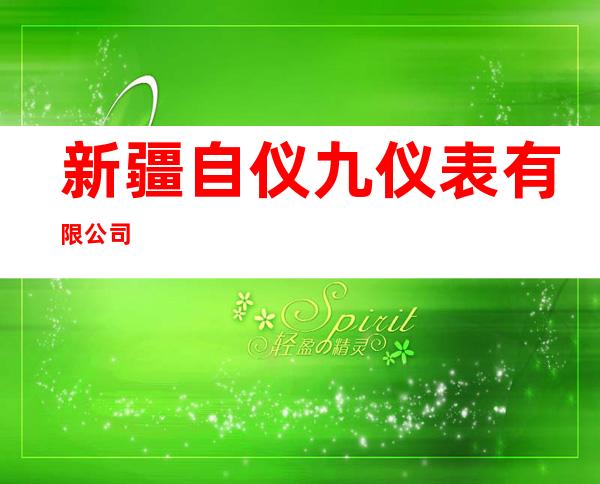 新疆自仪九仪表有限公司