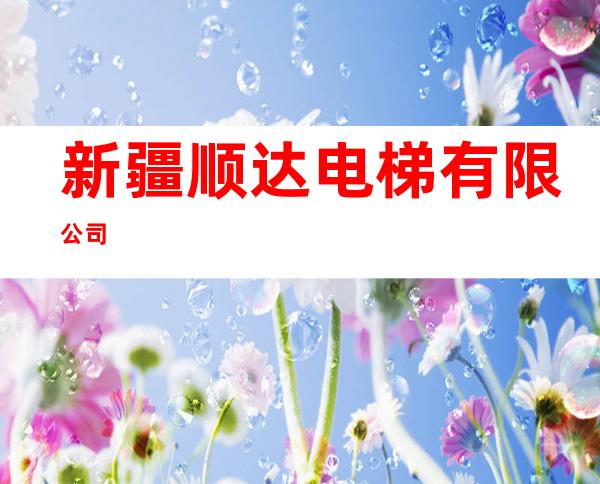 新疆顺达电梯有限公司