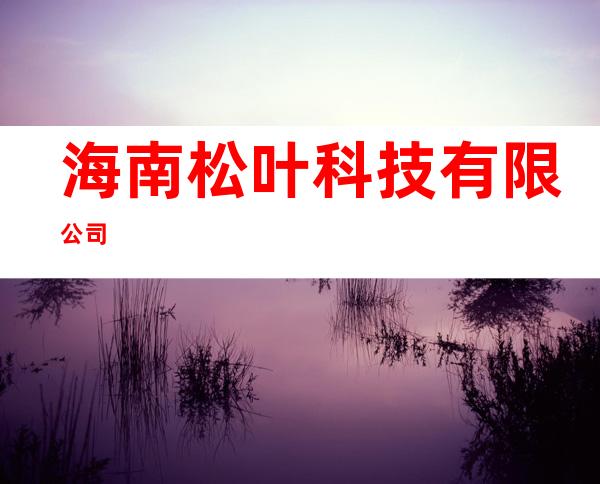 海南松叶科技有限公司