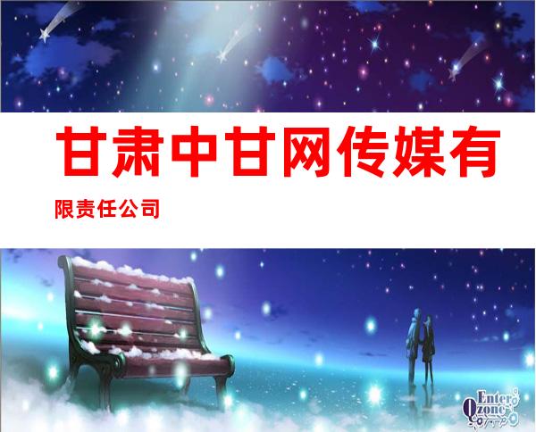 甘肃中甘网传媒有限责任公司