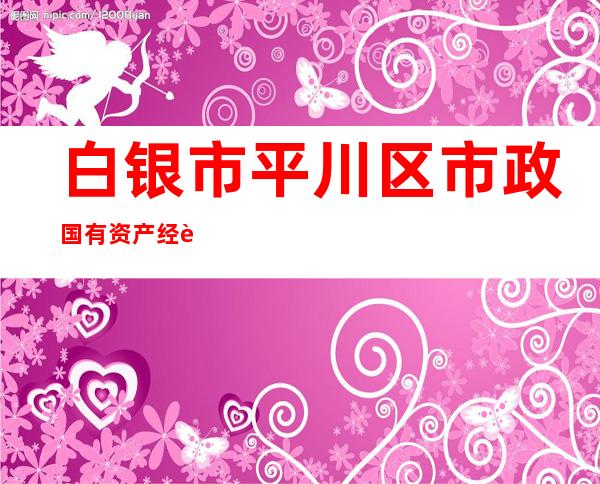 白银市平川区市政国有资产经营有限公司