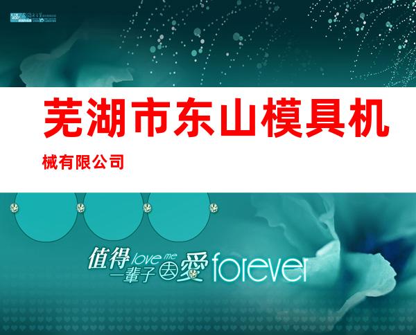 芜湖市东山模具机械有限公司