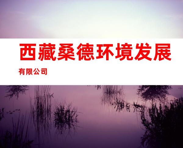 西藏桑德环境发展有限公司