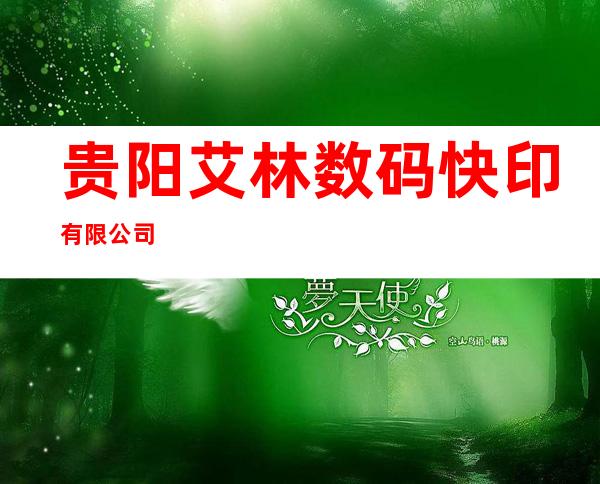 贵阳艾林数码快印有限公司