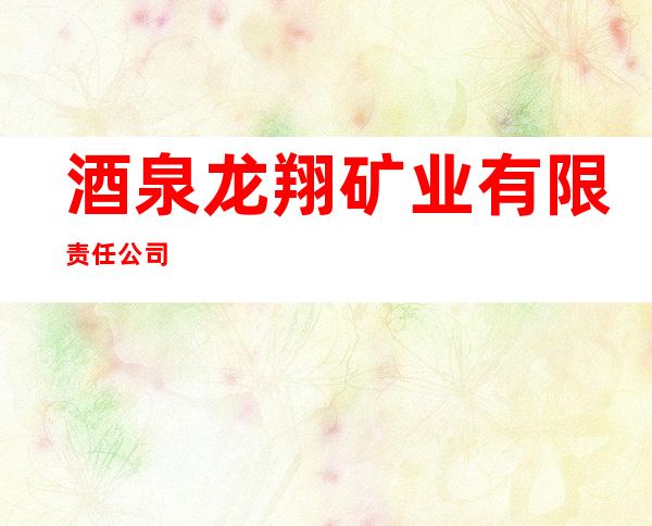 酒泉龙翔矿业有限责任公司