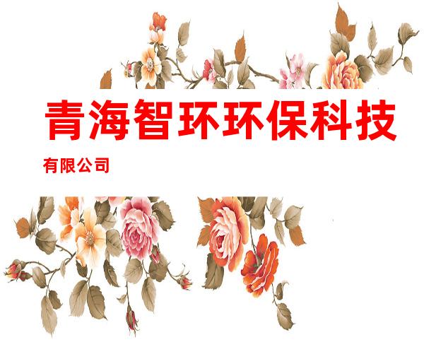 青海智环环保科技有限公司