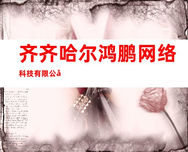 齐齐哈尔鸿鹏网络科技有限公司